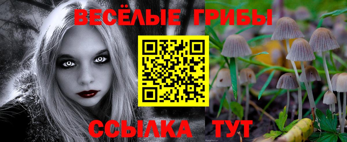 Псилоцибиновые грибы Magic Shrooms Серпухов