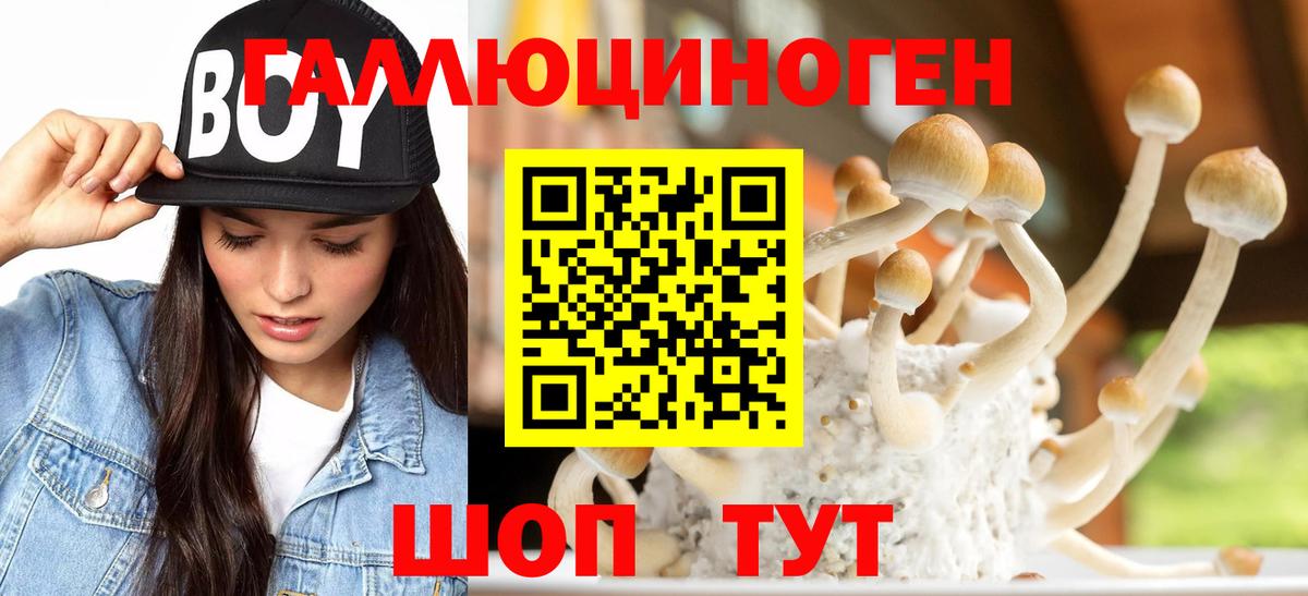 Псилоцибиновые грибы MAGIC MUSHROOMS  Вход с VPN  Серпухов 